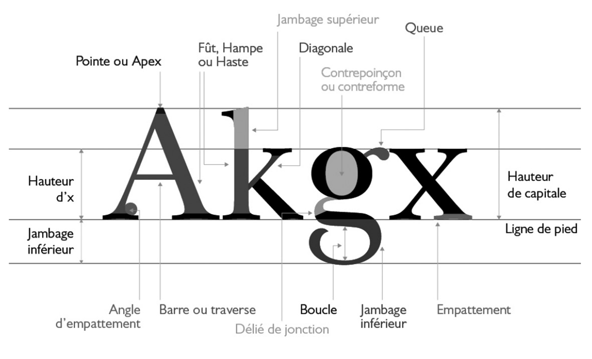 Anatomie typographique des lettres A, k, g et x