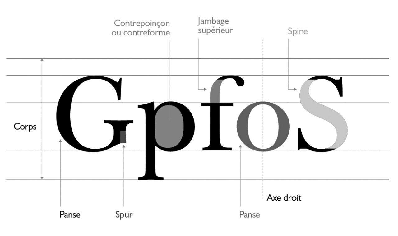 Lignes de référence et anatomie des lettres G, p, f, o et S