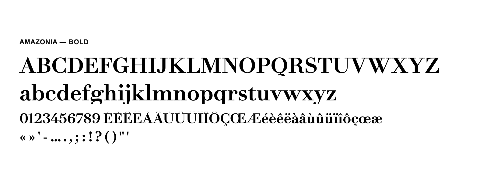 Spécimen de Amazonia Bold
