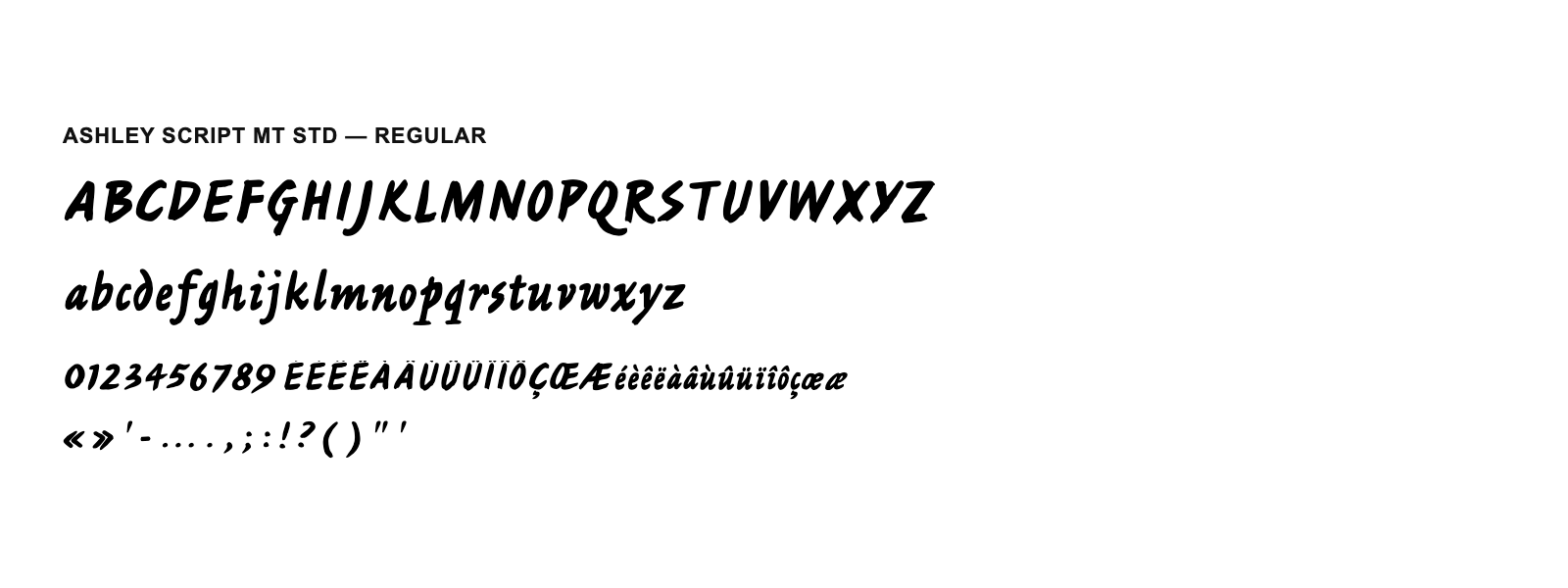 Spécimen de Ashley Script MT Std Regular