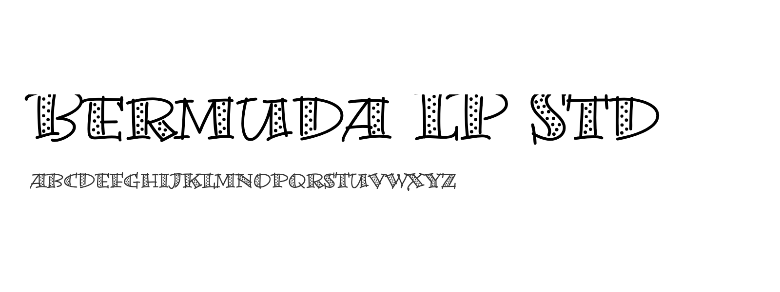 Spécimen de Bermuda LP Std