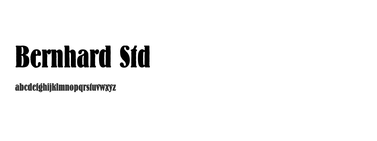 Spécimen de Bernhard Std