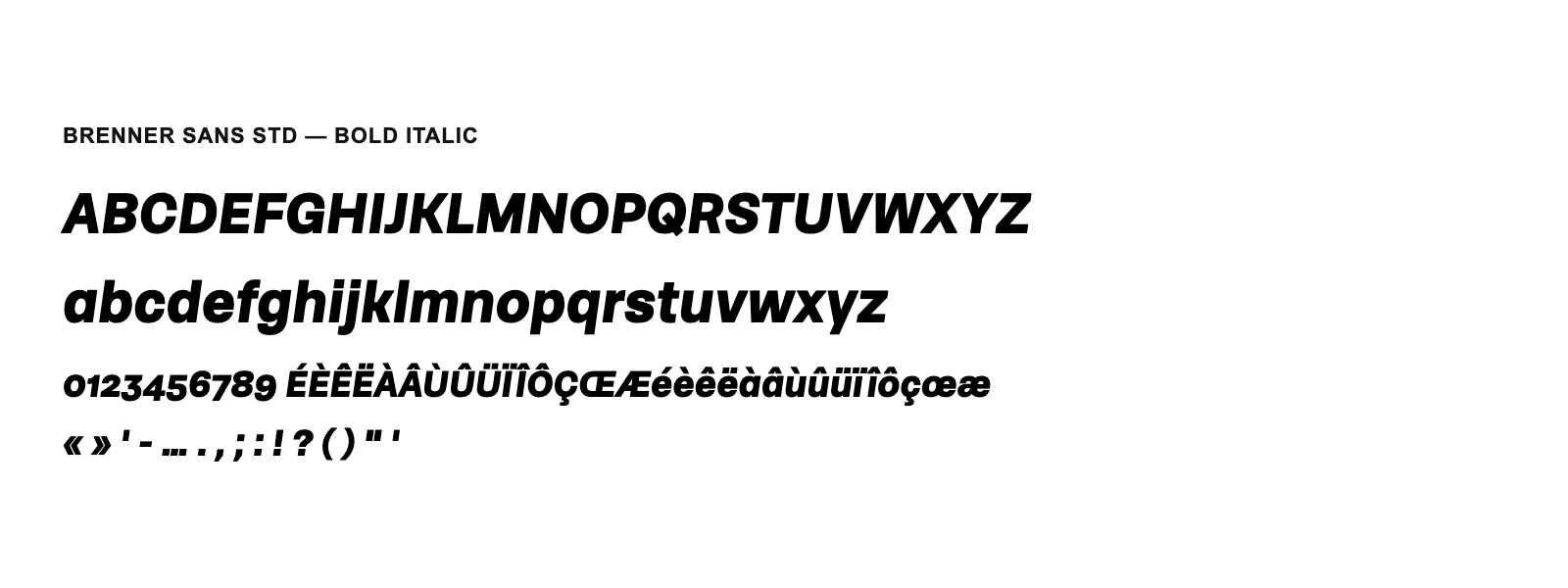 Spécimen de Brenner Sans Std Bold Italic
