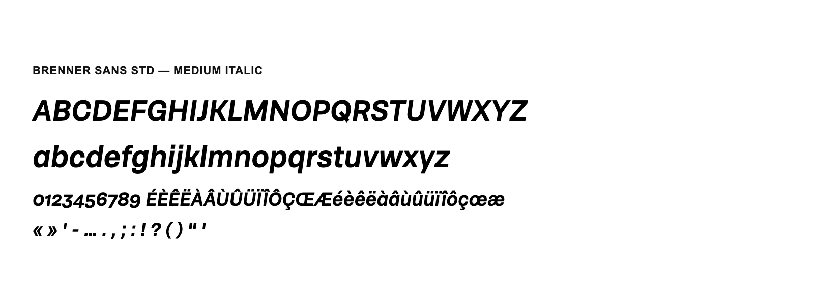 Spécimen de Brenner Sans Std Medium Italic