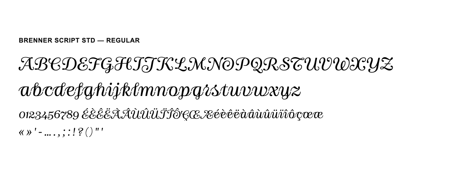 Spécimen de Brenner Script Std Regular