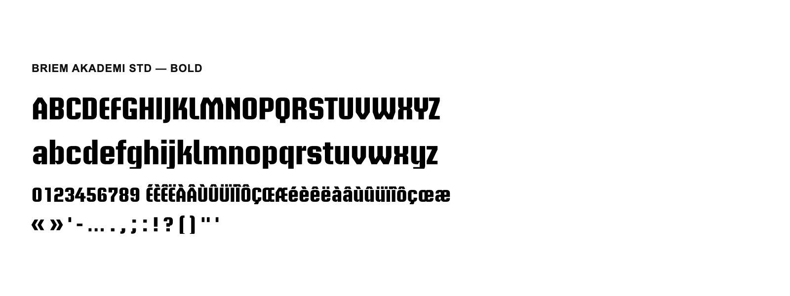 Spécimen de Briem Akademi Std Bold