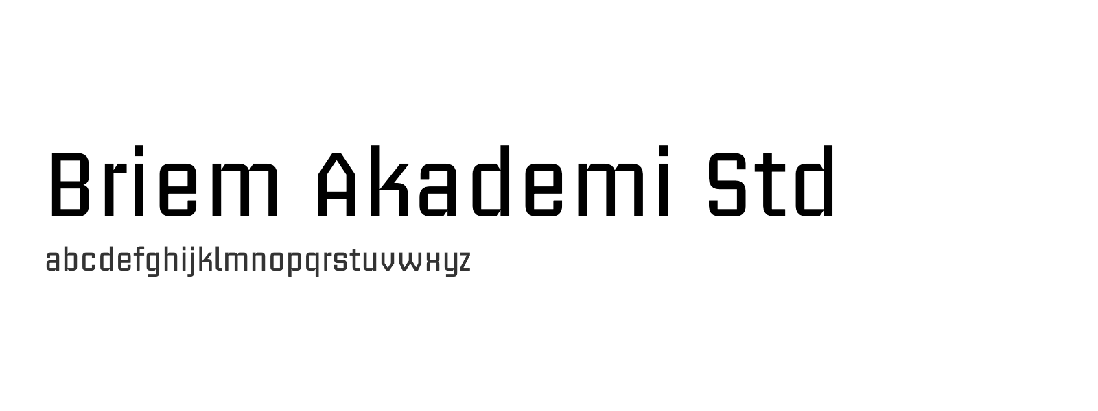 Spécimen de Briem Akademi Std