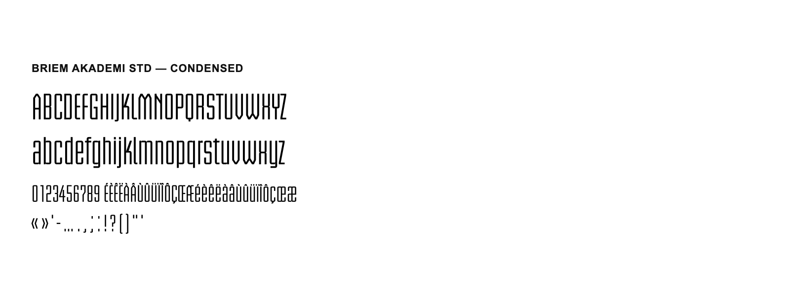 Spécimen de Briem Akademi Std Condensed