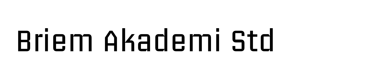 Nom de la famille Briem Akademi Std composé dans la police