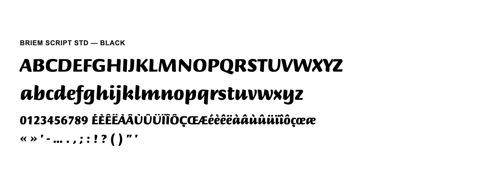 Spécimen de Briem Script Std Black
