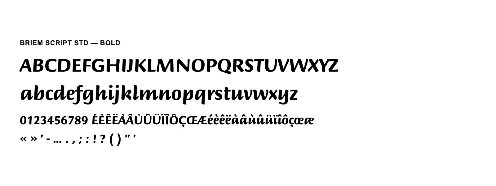 Spécimen de Briem Script Std Bold