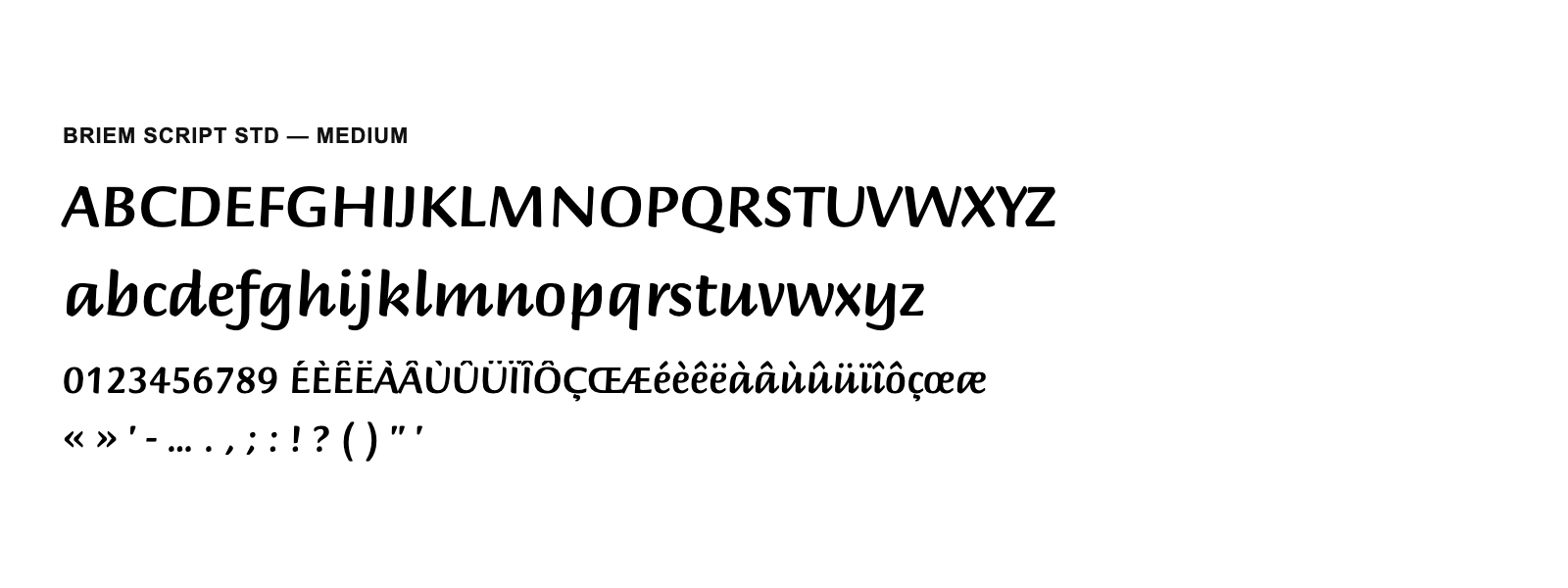 Spécimen de Briem Script Std Medium