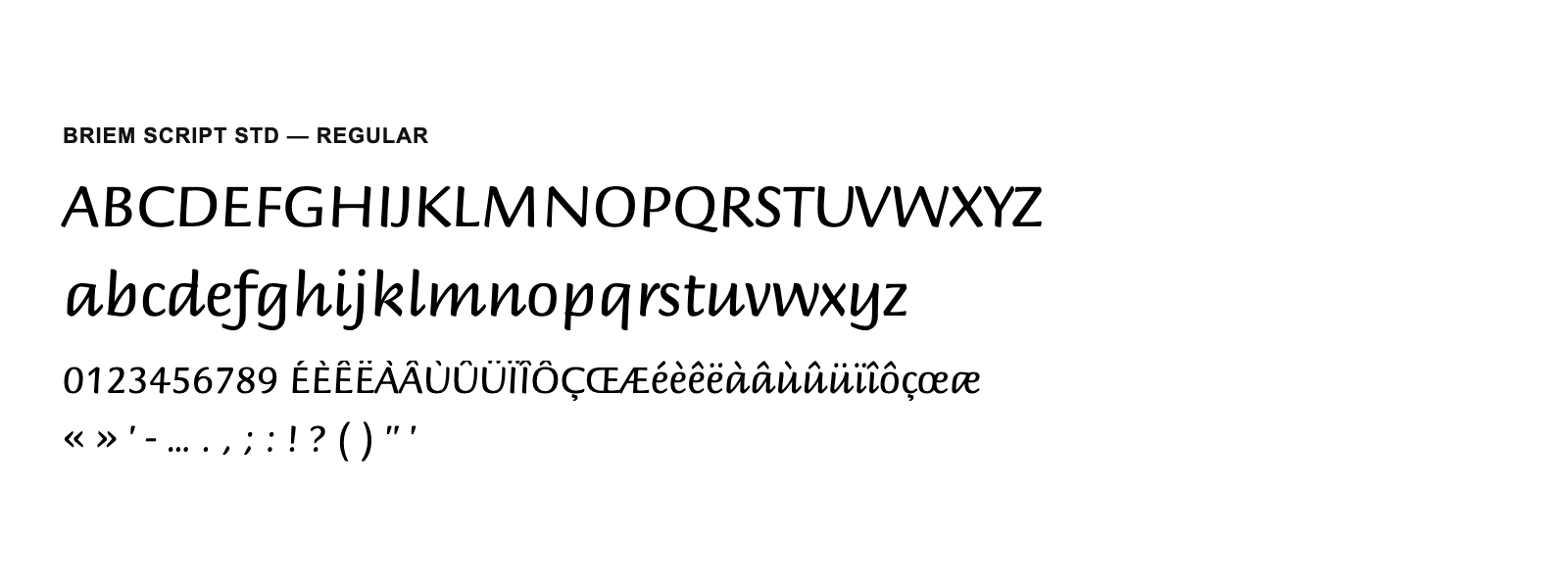 Spécimen de Briem Script Std Regular