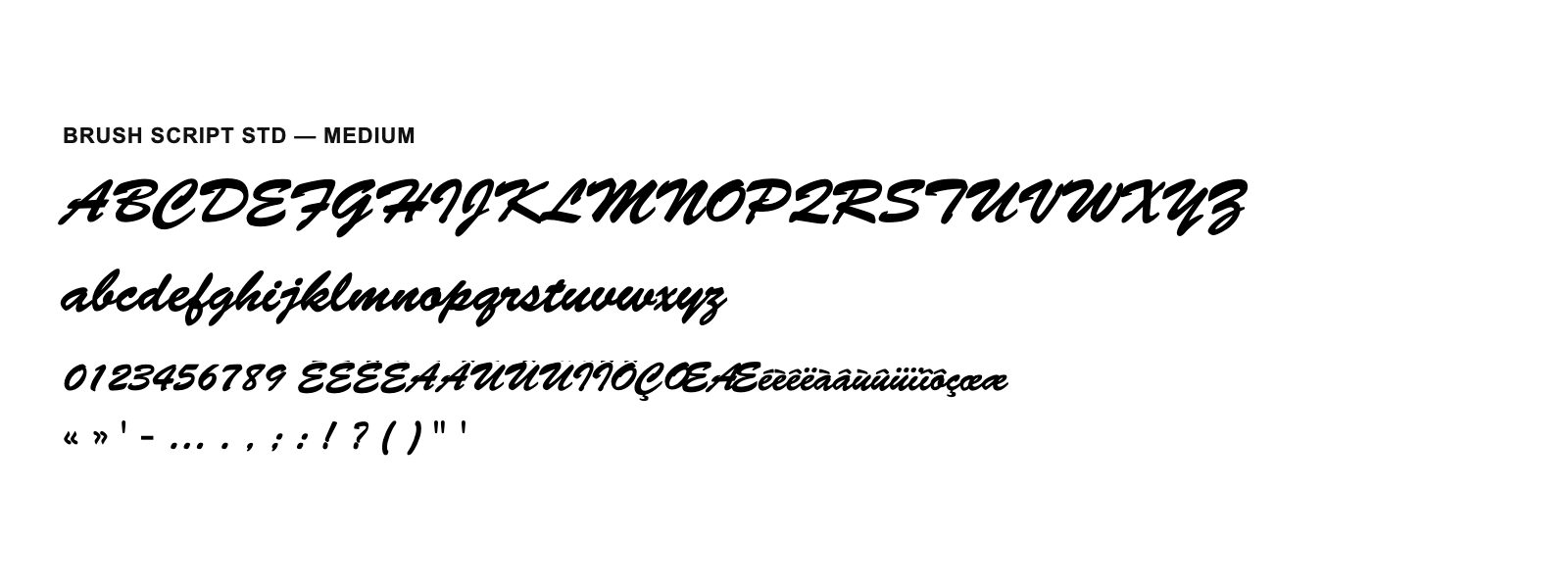 Spécimen de Brush Script Std Medium