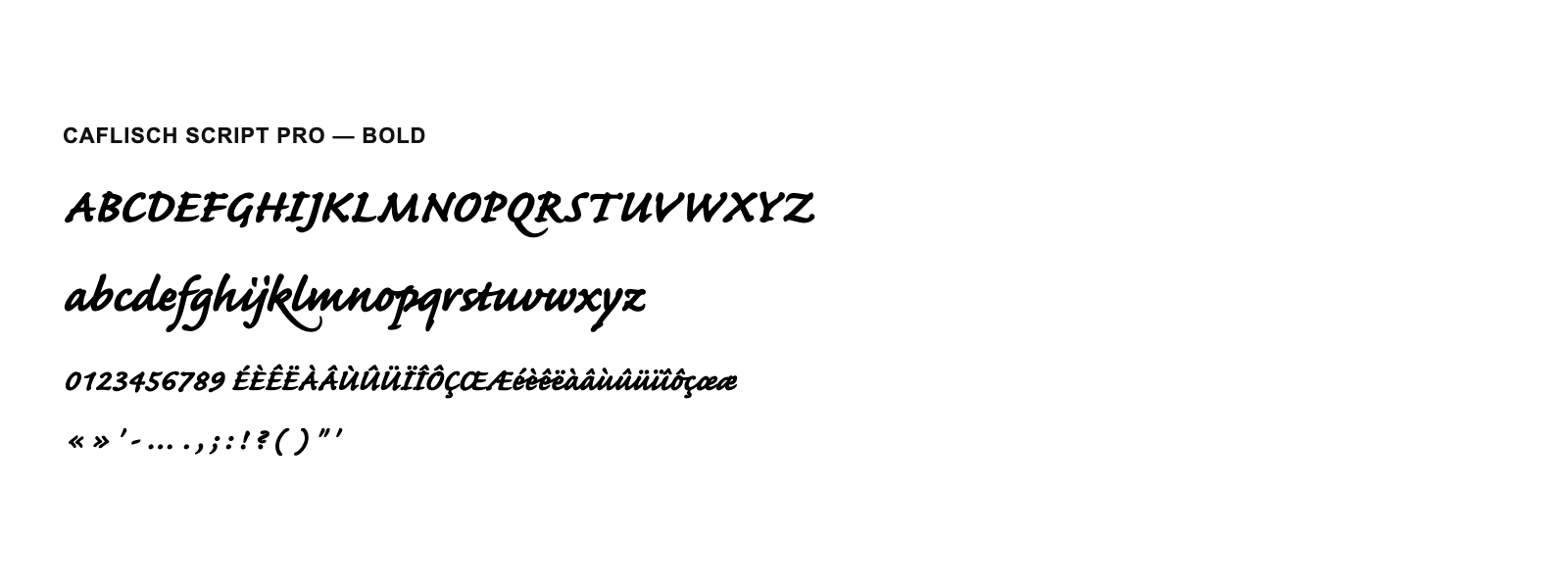 Spécimen de Caflisch Script Pro Bold