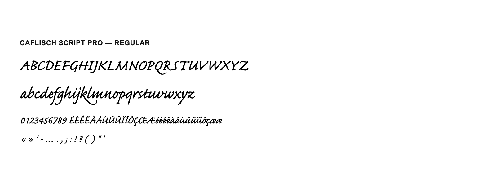 Spécimen de Caflisch Script Pro Regular