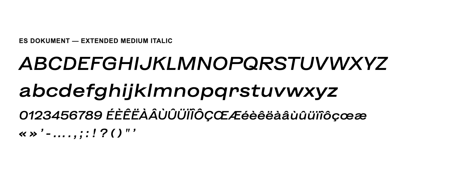 Spécimen de ES Dokument Extended Medium Italic