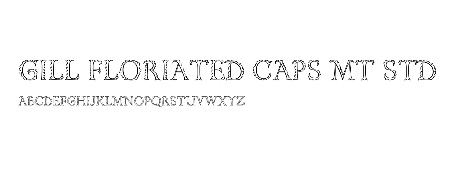 Spécimen de Gill Floriated Caps MT Std