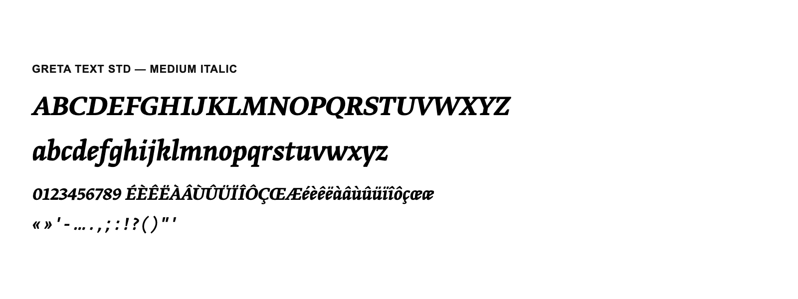 Spécimen de Greta Text Std Medium Italic