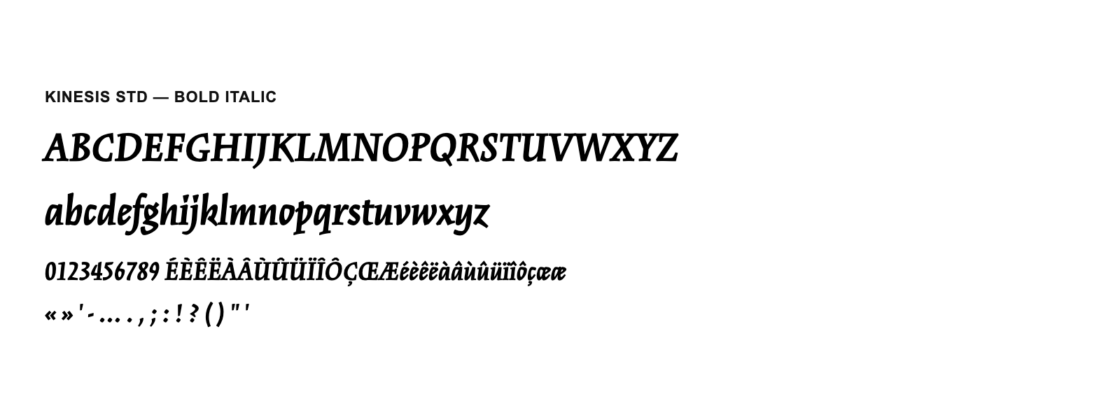 Spécimen de Kinesis Std Bold Italic