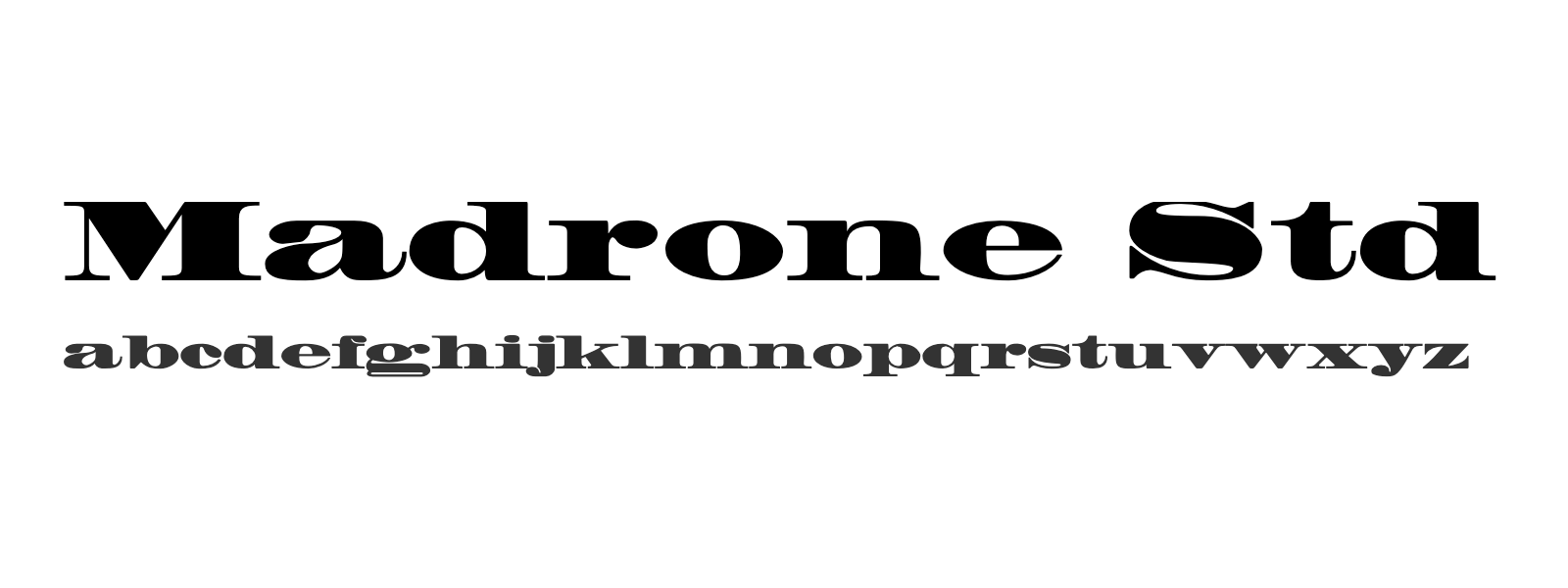 Spécimen de Madrone Std