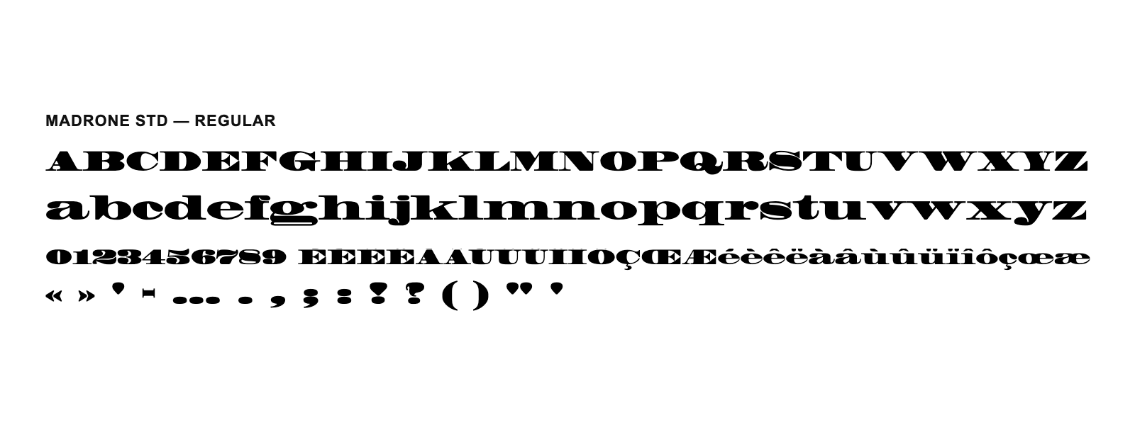 Spécimen de Madrone Std Regular
