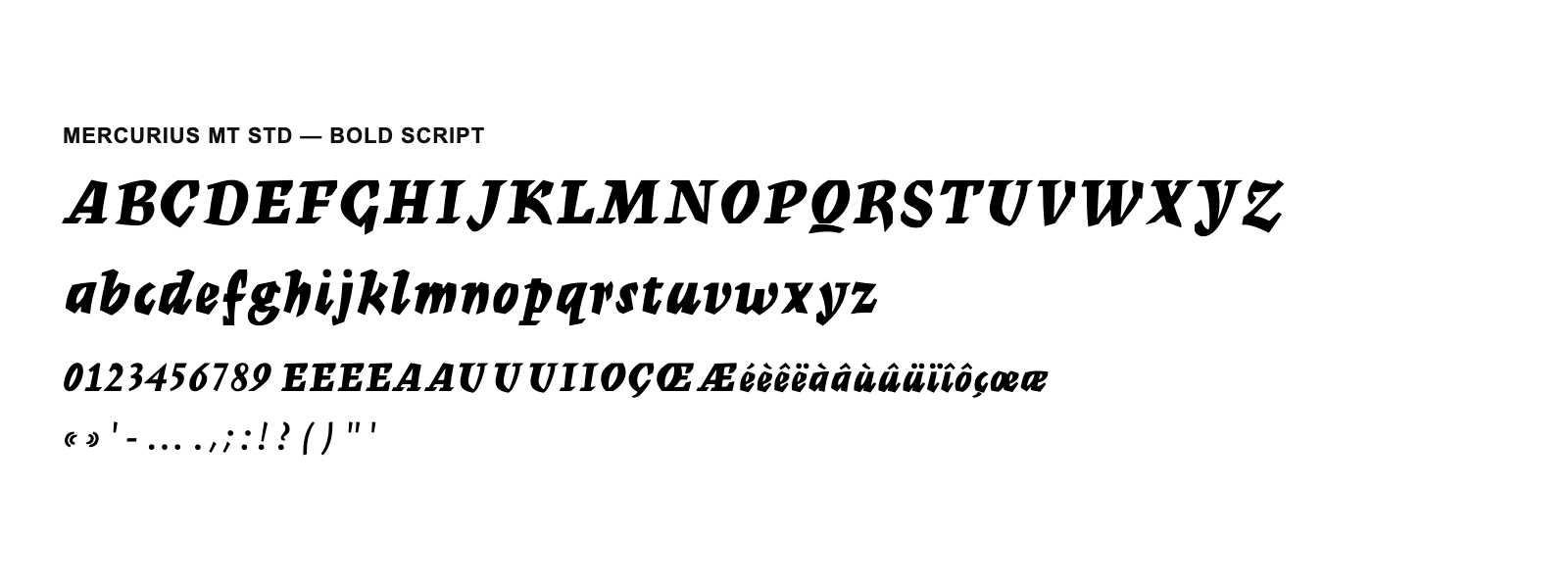 Spécimen de Mercurius MT Std Bold Script