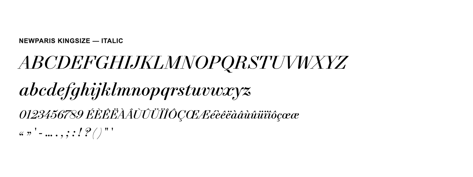 Spécimen de NewParis KingSize Italic