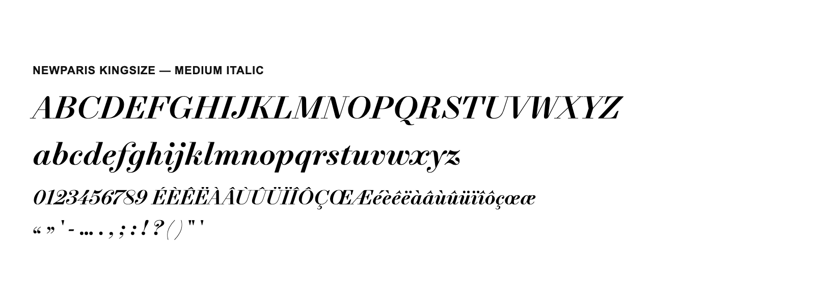 Spécimen de NewParis KingSize Medium Italic