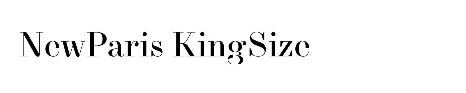 Nom de la famille NewParis KingSize composé dans la police