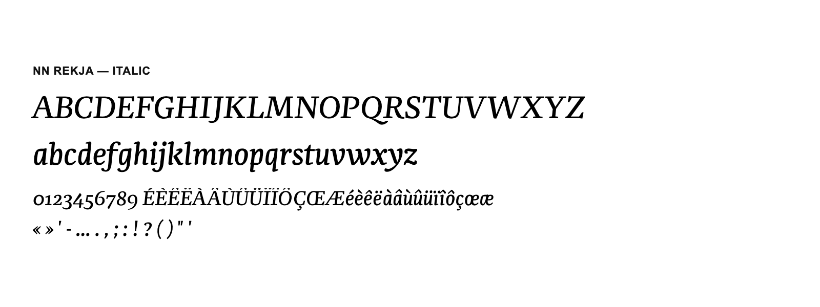 Spécimen de NN Rekja Italic