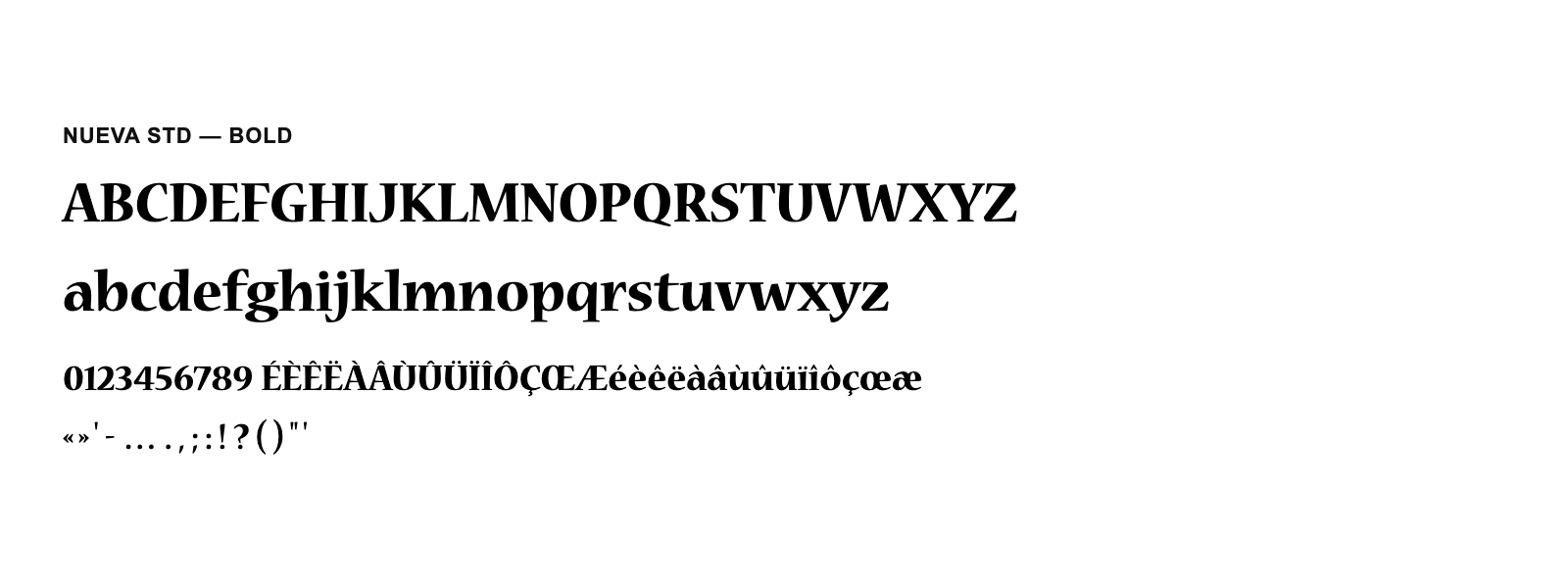 Spécimen de Nueva Std Bold