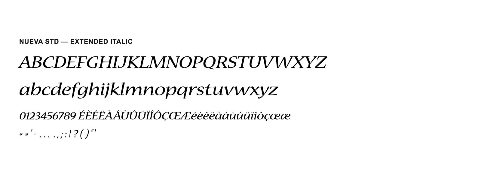 Spécimen de Nueva Std Extended Italic