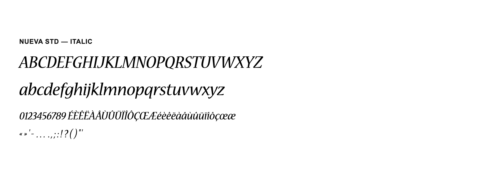 Spécimen de Nueva Std Italic