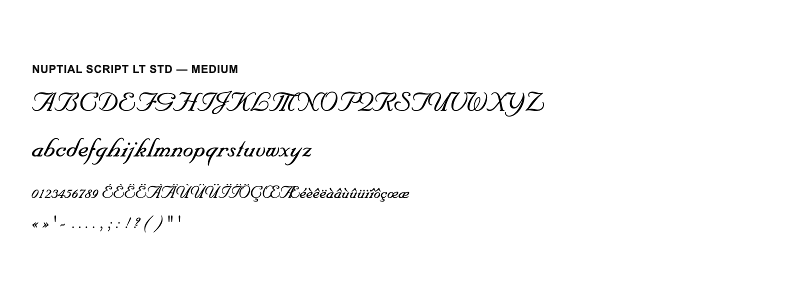 Spécimen de Nuptial Script LT Std Medium