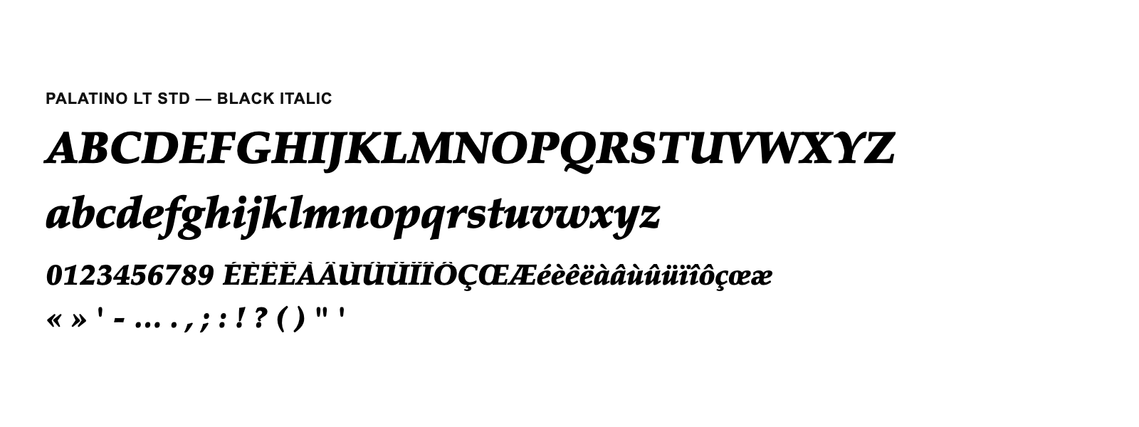 Spécimen de Palatino LT Std Black Italic