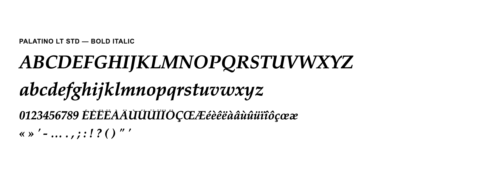 Spécimen de Palatino LT Std Bold Italic