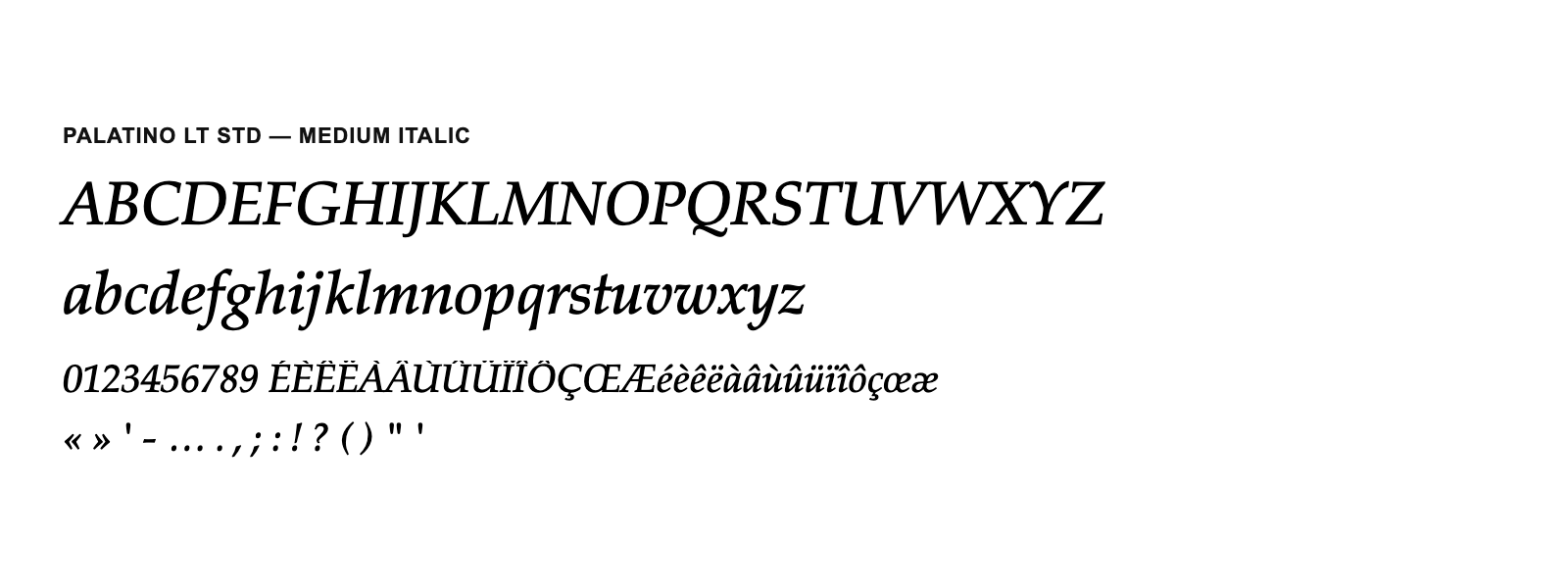 Spécimen de Palatino LT Std Medium Italic