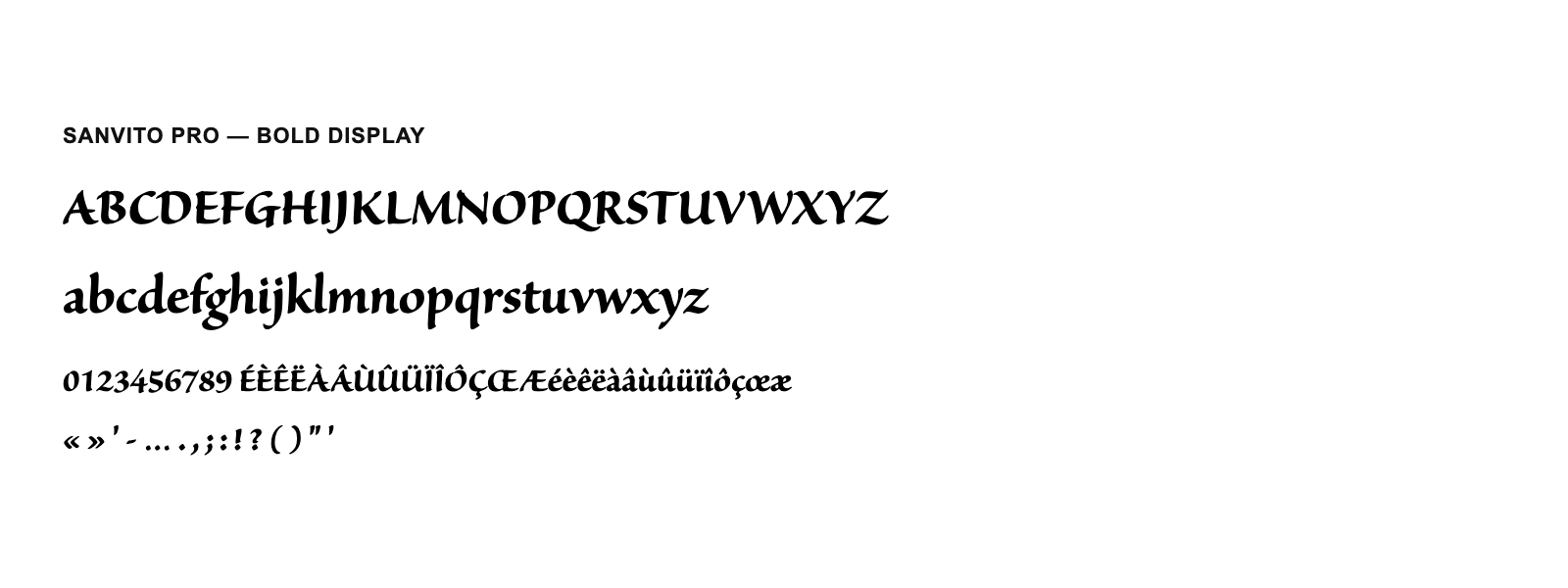 Spécimen de Sanvito Pro Bold Display