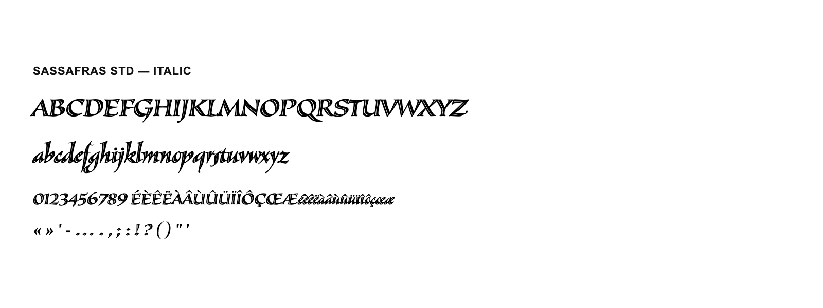 Spécimen de Sassafras Std Italic