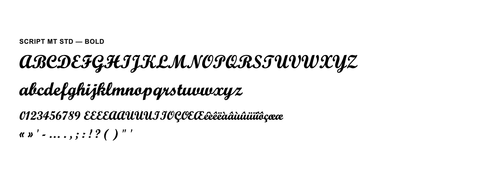 Spécimen de Script MT Std Bold