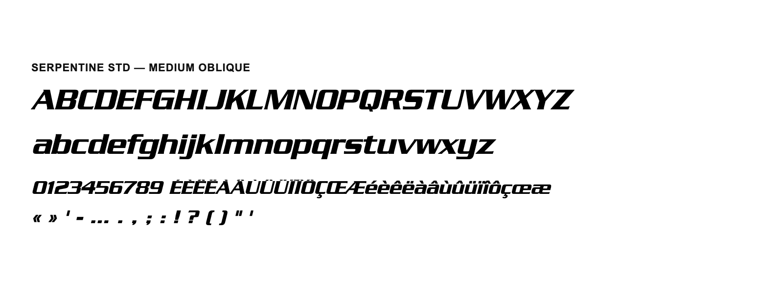 Spécimen de Serpentine Std Medium Oblique