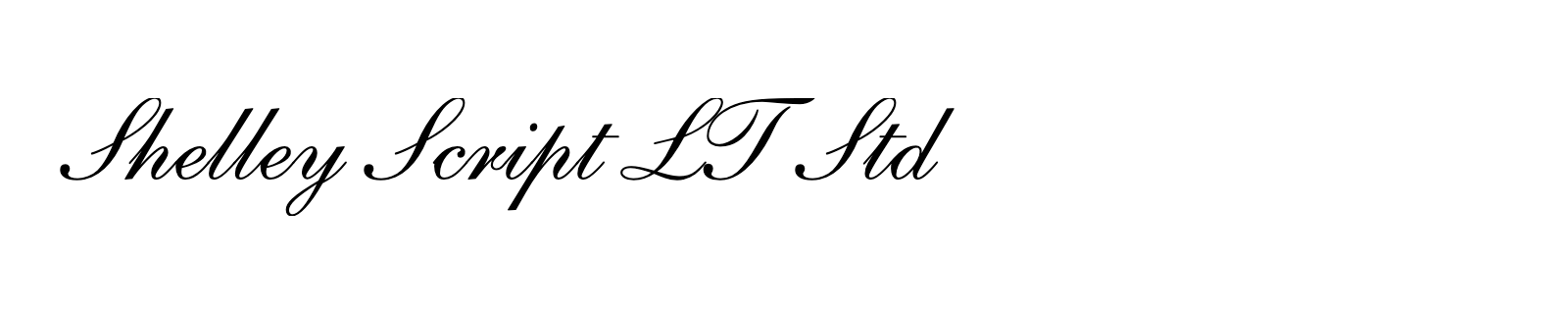 Nom de la famille Shelley Script LT Std composé dans la police