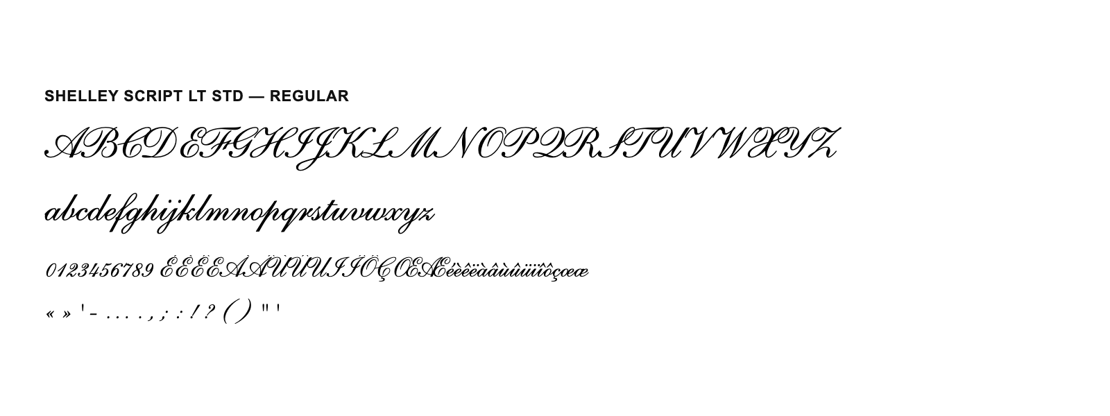 Spécimen de Shelley Script LT Std Regular