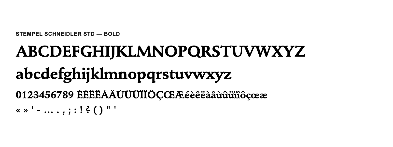 Spécimen de Stempel Schneidler Std Bold