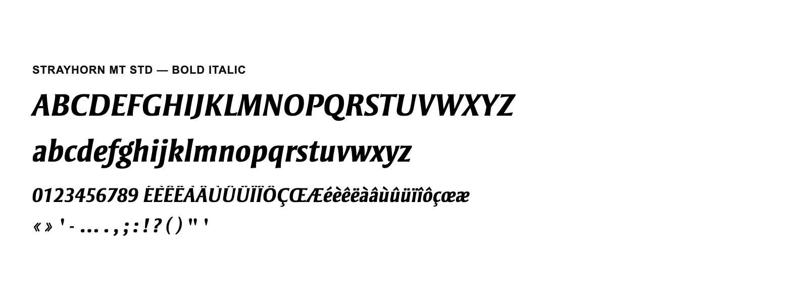 Spécimen de Strayhorn MT Std Bold Italic