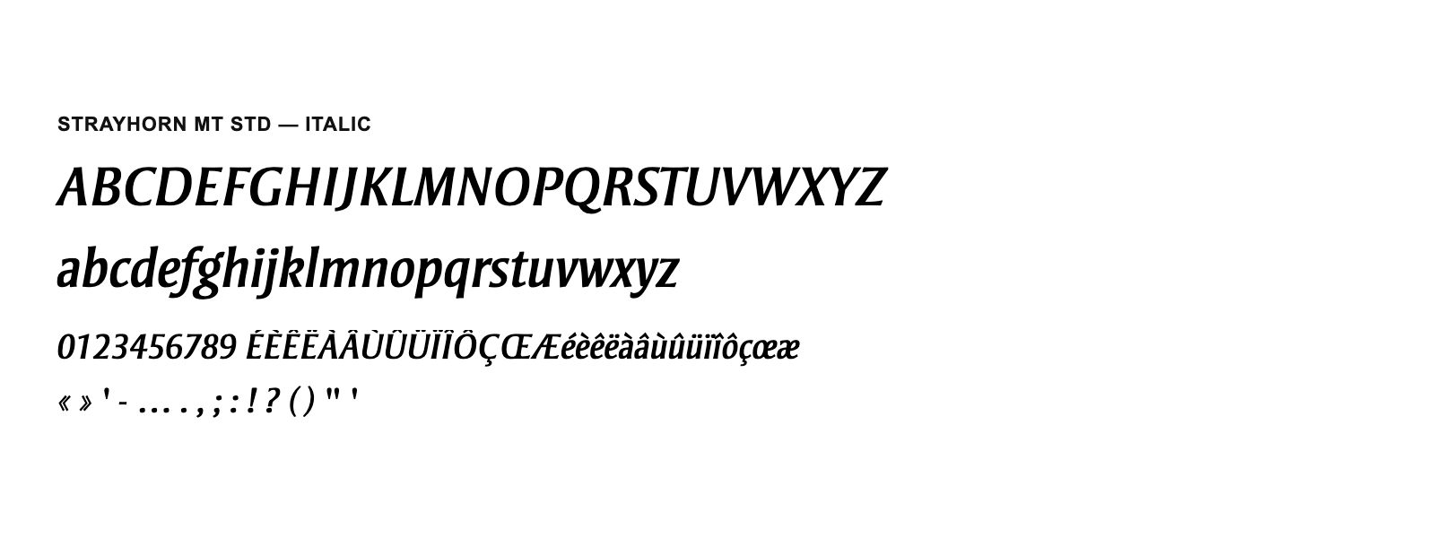 Spécimen de Strayhorn MT Std Italic