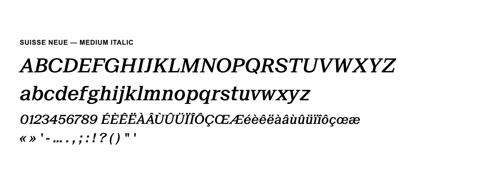 Spécimen de Suisse Neue Medium Italic