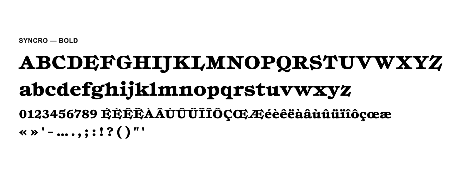 Spécimen de Syncro Bold