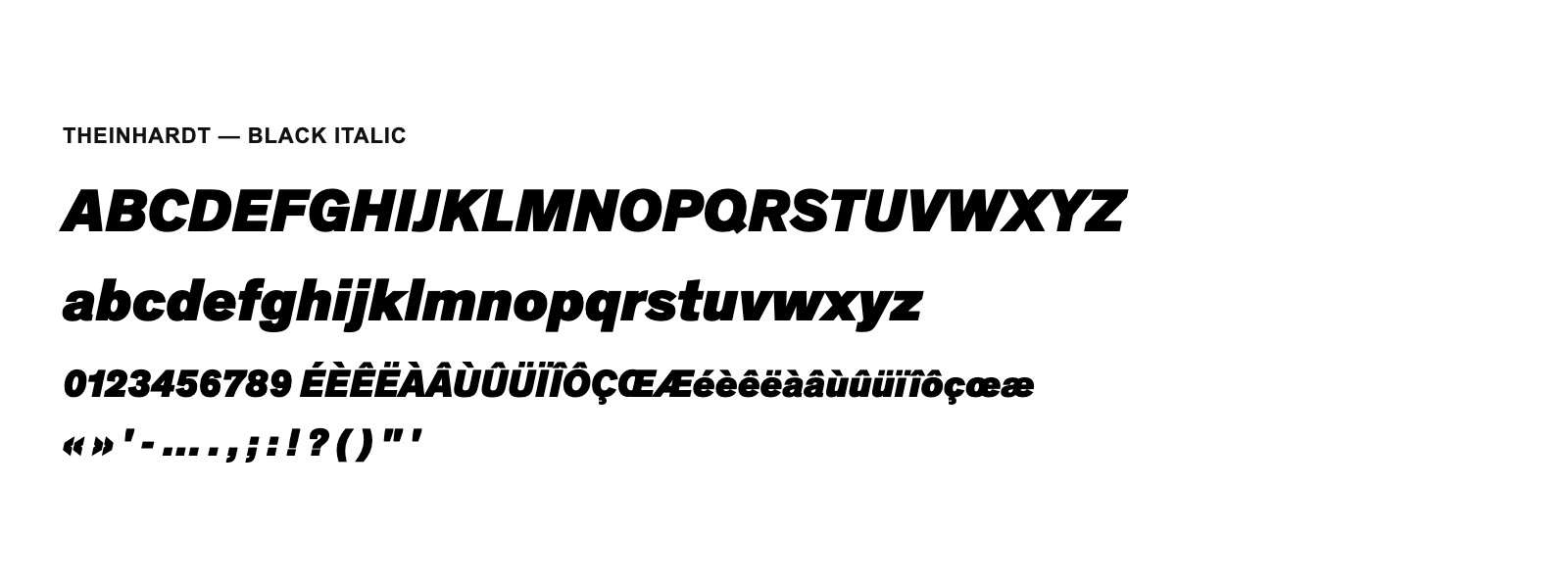 Spécimen de Theinhardt Black Italic
